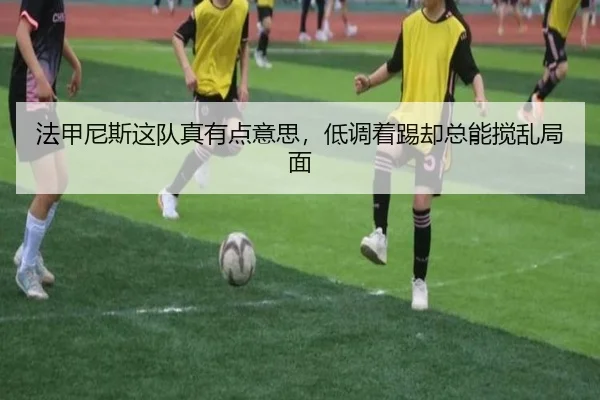 fa-jia-ni-si-zhe-dui-zhen-you-dian-yi-si-di-diao-zhe-ti-que-zong-neng-jiao-luan-ju-mian-2-311.jpg