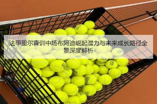法甲里尔青训中场布阿迪崛起潜力与未来成长路径全景深度解析